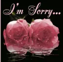 sorry rose