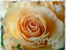 sorry rose