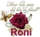 Elegant Rose - Roni