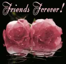 Friend for ever