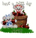 chrissi