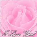 I love you