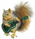 squirrel playing guitar