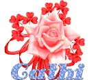 Cathi