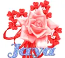 Jaya