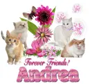Kitty Friends - Andrea