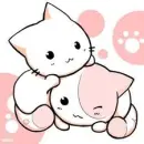Kitties