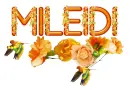 First Names -Mileidi