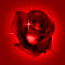 *â€¢.Â¸â™¥áƒ¦Carmelaáƒ¦â™¥Â¸.â€¢*