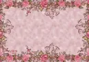 Background - Flowers