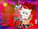 hug for You