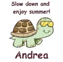 Slow Down Turtle - Andrea
