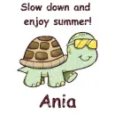 Slow Down Turtle - Ania