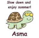Slow Down Turtle - Asma