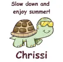Slow Down Turtle - Chrissi