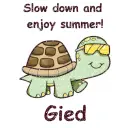 Slow Down Turtle - Gied