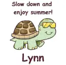Slow Down Turtle - Lynn