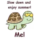 Slow Down Turtle - Mel