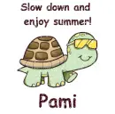 Slow Down Turtle - Pami
