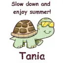 Slow Down Turtle - Tania