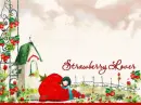 Strawberry lover