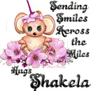 Sending Smiles - Shakela