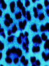 Blue Leopard