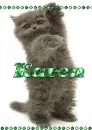 Karen - Black Cat - Green