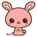 Pink Bunny