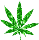Ganja