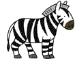 Zebra