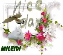 Glitter Graphics