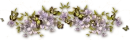 Abtract Divider
