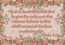 John 3:16
