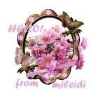 Glitter Graphics