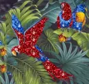Bird - background