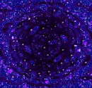 Blue purple - background