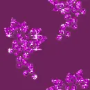 Grapes - background