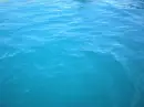 Ocean - background