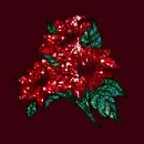 Poinsetta - background - xmas