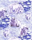Polar bear - background - win