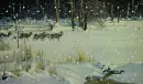 Prairie wolves - background