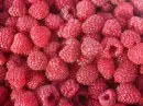 Red raspberry - background