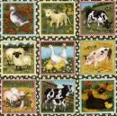 Safari animals - background