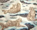 Snow Leopard - background - win