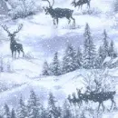 Snowy Deer - background - win