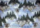 Snow Wolf - background - win
