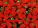 Strawberry Patch - background