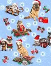 Winter Animals - background - win