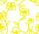 Yellow flowers - background